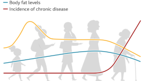 How metabolism changes with age