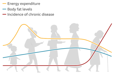 How metabolism changes with age