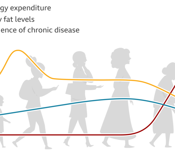 How metabolism changes with age