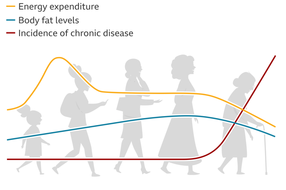 How metabolism changes with age
