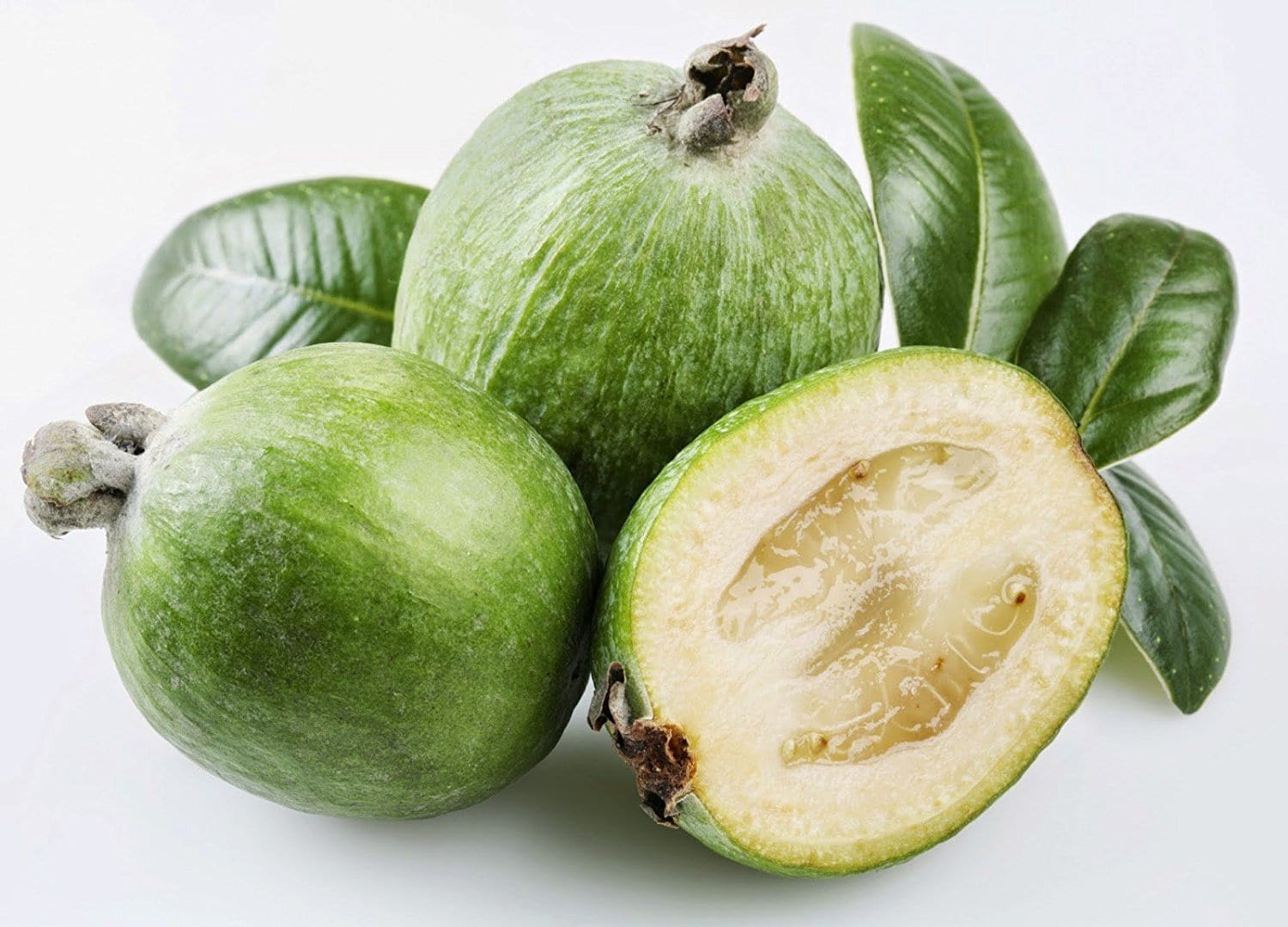 Feijoa Fruit Comment Le Manger LBEGMS Feijoa Fruit Comment Le Manger LBEGMS