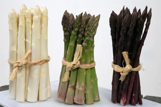 Different varieties of asparagus